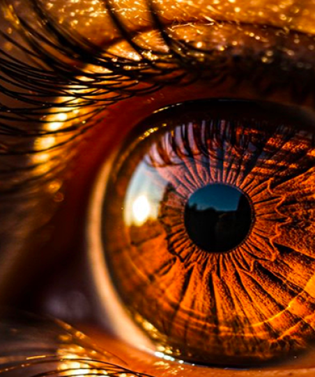 imagen-ojo-insight-foco